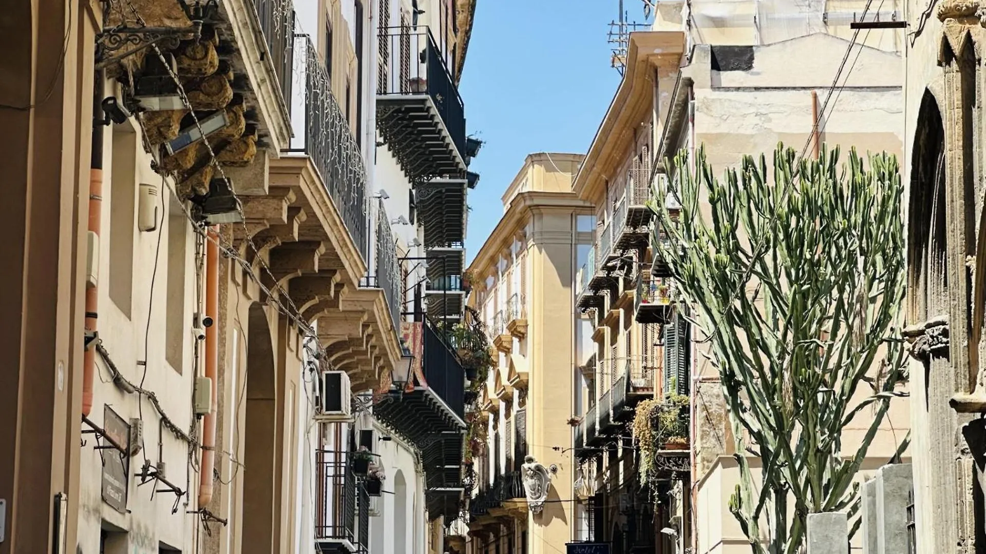 Spina Home Palermo Centro Storico Italia